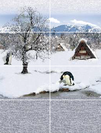 JOHNSON ELITE PLUS SNOW LAND30X45cm